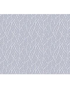 REEF-SILVER