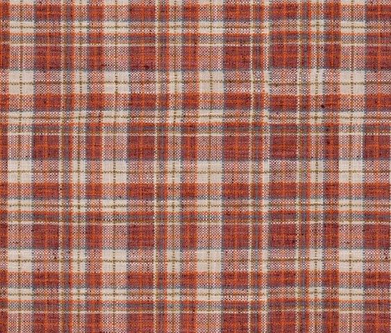 Madras Spice Fabric